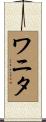 ワニタ Scroll