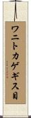 ワニトカゲギス目 Scroll