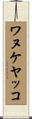 ワヌケヤッコ Scroll