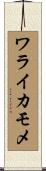 ワライカモメ Scroll