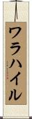 ワラハイル Scroll