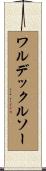 ワルデックルソー Scroll