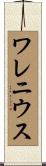 ワレニウス Scroll