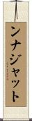 Najat Scroll