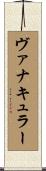 ヴァナキュラー Scroll