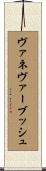 ヴァネヴァー・ブッシュ Scroll