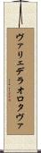 ヴァリェデラオロタヴァ Scroll