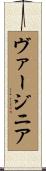 Virginia Scroll