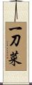 一刀菜 Scroll