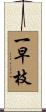 一早枝 Scroll