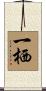 一栖 Scroll