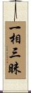 一相三昧 Scroll