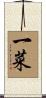 一菜 Scroll