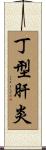 丁型肝炎 Scroll