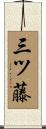 三ツ藤 Scroll