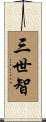 三世智 Scroll
