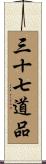 三十七道品 Scroll