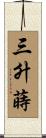 三升蒔 Scroll