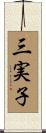 三実子 Scroll