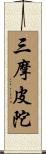 三摩皮陀 Scroll