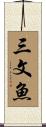 三文魚 Scroll