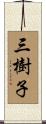 三樹子 Scroll