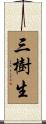 三樹生 Scroll