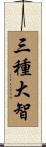 三種大智 Scroll