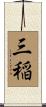 三稲 Scroll