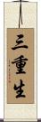 三重生 Scroll