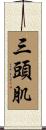 三頭肌 Scroll