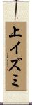上イズミ Scroll