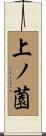 上ノ薗 Scroll