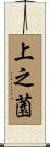 上之薗 Scroll