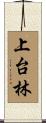 上台林 Scroll