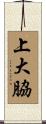 上大脇 Scroll