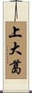 上大葛 Scroll
