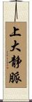 上大静脈 Scroll