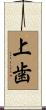 上歯 Scroll
