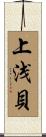 上浅貝 Scroll
