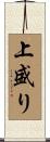 上盛り Scroll