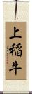 上稲牛 Scroll