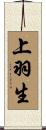 上羽生 Scroll