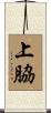 上脇 Scroll