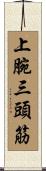 上腕三頭筋 Scroll