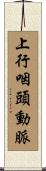 上行咽頭動脈 Scroll