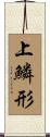 上鱗形 Scroll