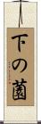 下の薗 Scroll