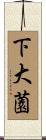 下大薗 Scroll