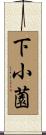 下小薗 Scroll